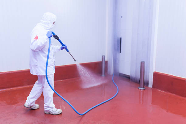 Best Sidewalk and Walkway Cleaning  in Owasso, OK